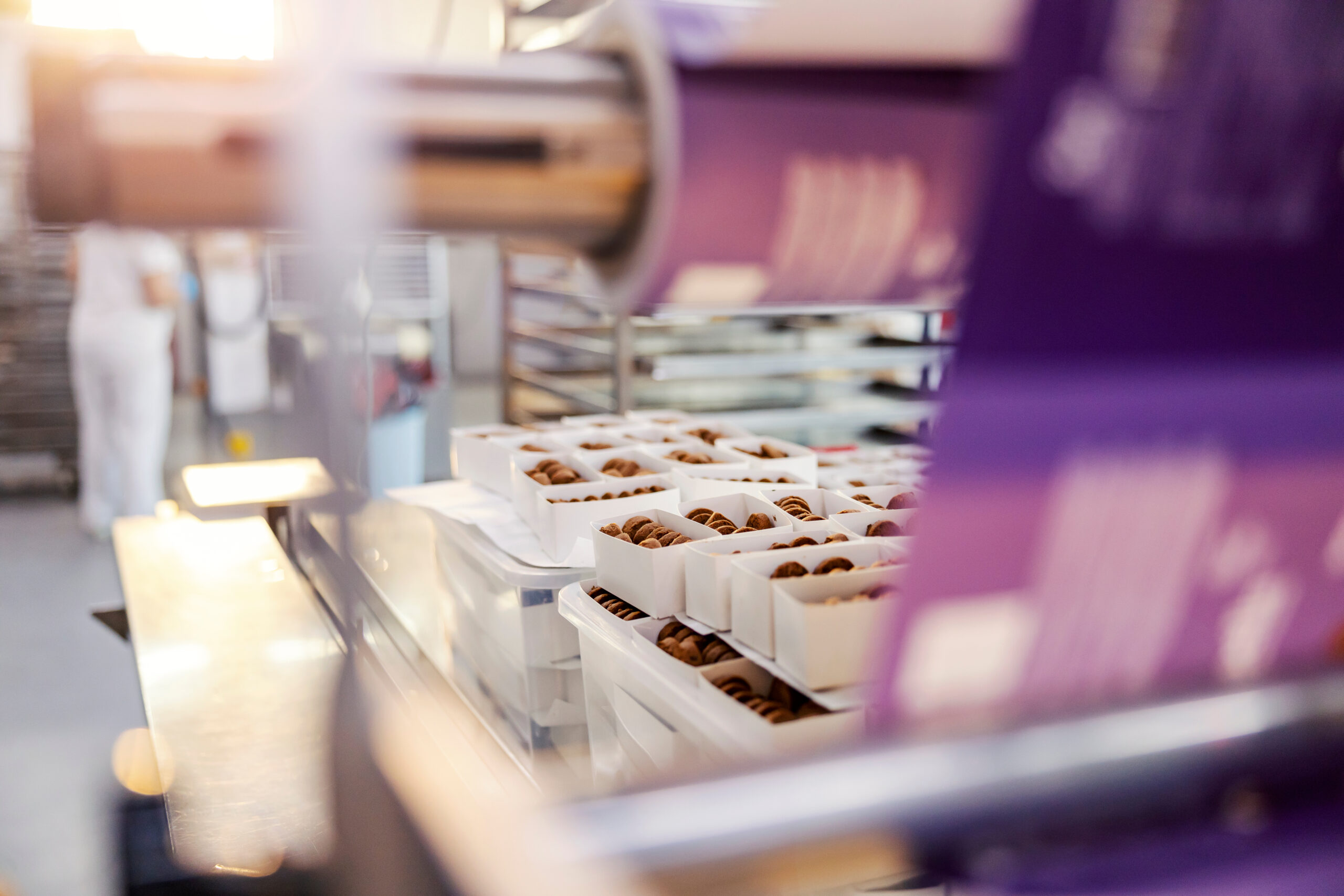 Air Knife Systems for the Bakery Industry: Industrial Drying Systems